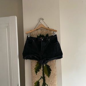 Everlane Cheeky Shorts size 27
